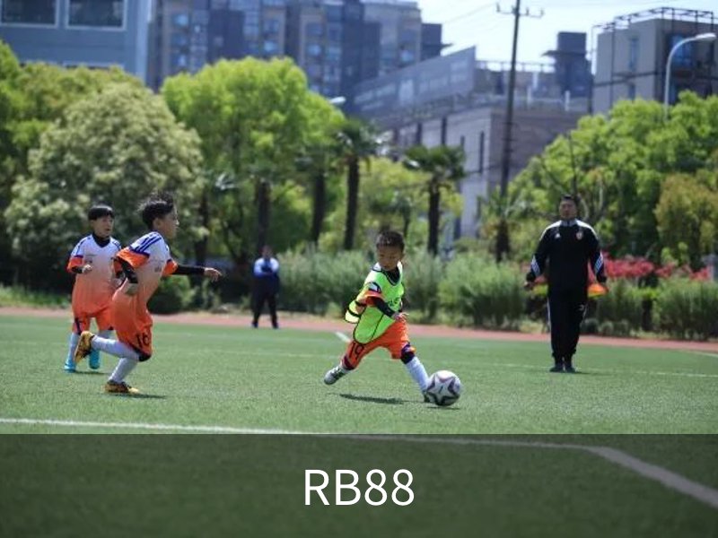了解RB88